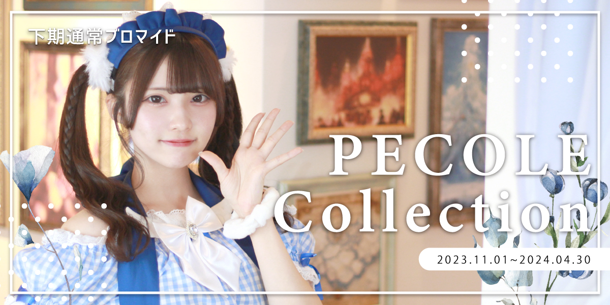 【１１月１日〜】フォト『PECOLE Collection』をリリース